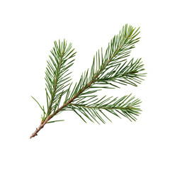 Wall Mural - Isolated pine branch featuring vibrant green needles showcasing nature's beauty and intricate details, pine branch with needlesfile of isolated object on transparent background