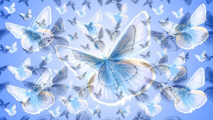 Poster - Blue abstract butterflies in flight - ornamental graphics. Topics: background, beauty of nature, abstraction, wallpaper, pattern, decoration
