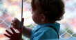 © Marco - Baby toddler leaning on window with security fence looking out