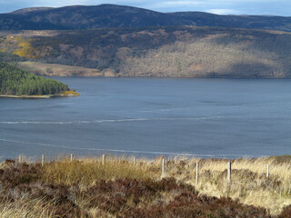 dornoch firth from struie hill viewpoint on the b9176 - highland - scotland - uk