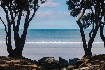 Wall Mural - A lone stand-up paddleboarder enjoys a serene day on the ocean. Tranquil beach scene with silhouetted pohutukawa trees. , OREWA, AUCKLAND, NEW ZEALAND