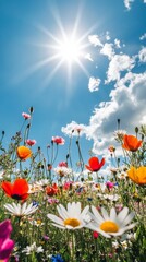 Wall Mural - bright flowers bloom under a sunny sky on a clear day in spring