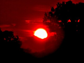 Poster - Abstract dark red cloudy sky with burning sky effect and sun light during sunset over dark trees. Topics: hot colors, cloudy background, weather, meteorology, climate, air space, atmosphere, season