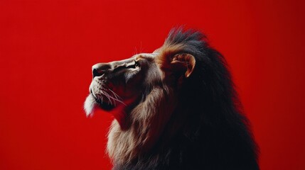 Canvas Print - Majestic lion against a bold red backdrop. AI.