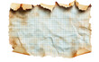 © vectorizer88 - Torn Paper with Grid on Transparent Background