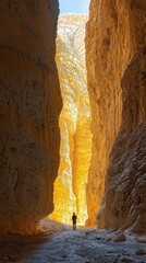 Poster - A solitary hiker wanders through the narrow passage of a stunning desert canyon, illuminated by warm golden light, surrounded by towering rock formations at dusk