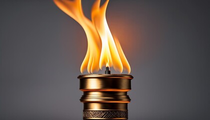 Wall Mural - burning gas flame