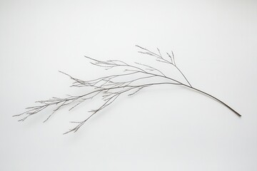 Poster - A delicate dried branch against a light background.
