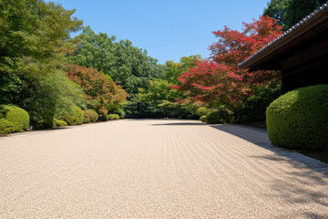 Wall Mural - A gravel driveway with a row of trees on either side