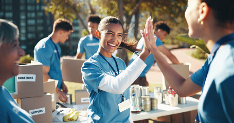 Wall Mural - Outdoor, volunteer and group with high five, community service and goals for donations, charity and support. NGO project, people and friends in park, teamwork and hand gesture with problem solving