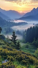Aufkleber - Golden rays of sunlight spill over rugged peaks, illuminating a lush valley filled with evergreen trees and soft fog. Nature awakens in the serene beauty of dawn