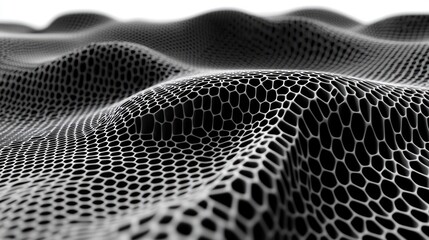 Poster - Abstract Black And White Wavy Mesh Texture