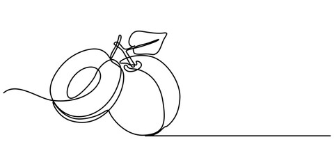 Wall Mural - Plum fruit in continuous line art drawing style. Minimalist black line sketch on white background. Vector illustration, Plum vector illustration. One line drawing art illustration with lettering. 