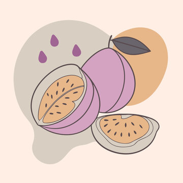an illustration of two slices of mango and a lichi