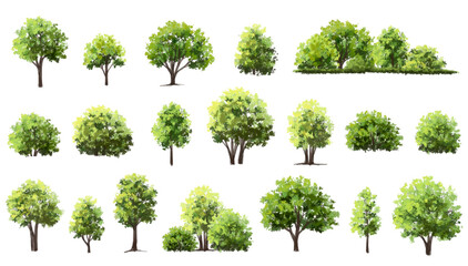 Wall Mural - vector watercolor green tree or forest side view isolated on white background for landscape and arch