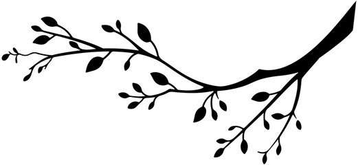 tree branch silhouette