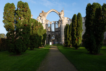 Wall Mural - Abbey ruins of Ourscamp, dating from the early first millennium and located in France.