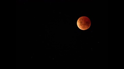 Wall Mural - blood moon - red full moon during total lunar eclipse. - timelapse shot