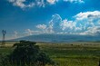 © luciezr - wild mountain meadow in armenia