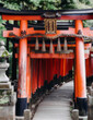 © tsuguliev - Fushimi Inari Taisha Shrine, Fushimi-ku, Kyoto Prefecture, Kansai region, Kyoto, Japan, Shinto shrine, mountain way with red torii gates tunnel, wooden torii path, fox sculptures, travel to Japan