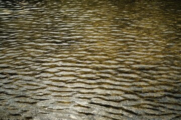 Poster - Texture of water with gentle ripples reflecting light on a tranquil lake surface