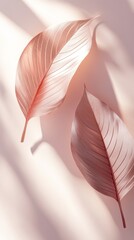 Poster - Delicate leaves rest on a subtle pastel background, illuminated by soft sunlight, creating a serene atmosphere ideal for showcasing products or artfully designed items
