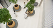 © Gorodenkoff - Aerial View of Modern Hospital Lobby with Potted Trees where a Mother and Child Having a Conversation with a Male Doctor. Patients and Medical Professionals Moving Through the Space to Their Offices