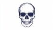© Eleanor - Skull Outline Icon Transparent Vector Isolated Sin