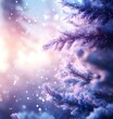 © 豆豆 胡 - Winter Wonderland: Snowy Pine Branches in Soft Light
