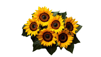 Wall Mural - bouquet of sunflowers on black background top down copy space
