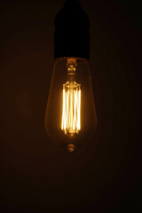 Poster - The vintage style light bulb provides a unique ambiance when lit in a dimly lit room or space._00002_
