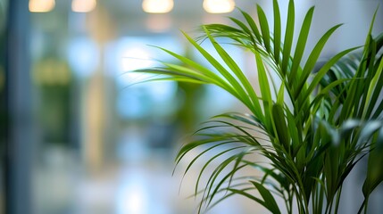 Poster - Modern Office Space with Green Plants in Background