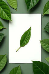 Aufkleber - A flat lay features a top view of a single leaf on white paper against a background of green leaves and nature design._00002_