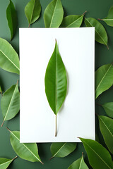 Aufkleber - A flat lay features a top view of a single leaf on white paper against a background of green leaves and nature design._00001_