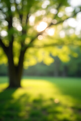 Poster - A blurred bokeh of a tree garden in a morning spring scene conveys the serene beauty of nature concepts._00001_