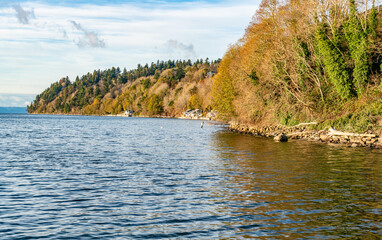 Wall Mural - High Tide Shoreline 2