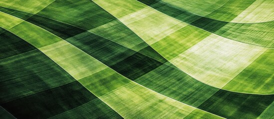 Wall Mural - Abstract green wavy pattern background texture.