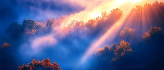 Poster - Stunning Sunrise Over Misty Hills with Warm Sunlight Filtering Through Trees Creating a Dreamy and Serene Landscape in Nature's Embrace