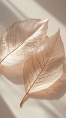Aufkleber - Two finely detailed leaves gently rest on a tranquil surface, illuminated by soft sunlight, offering a sophisticated and minimalist atmosphere suitable for highlighting various products elegantly
