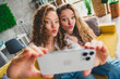 © deagreez - Two young women making playful faces while taking a selfie at home in a vibrant living room filled with natural daylight