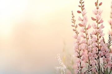 Wall Mural - Soft pink flowers bloom beautifully against a gentle pastel background during early morning hours in spring