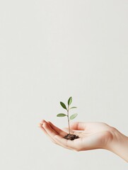 Aufkleber - A small seedling with tender leaves is cradled in hands that support its growth, symbolizing care and connection to nature. Generative AI