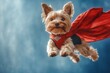 © alphaspirit - Super dog flying, wearing red cape and superhero costume