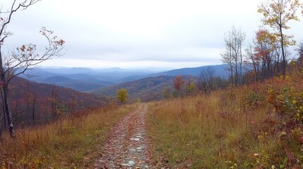 Poster - A peaceful mountain trail covered in autumn leaves with distant rolling hills in the background.