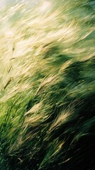 Poster - Gentle breezes weave through tall grass, creating a mesmerizing display of movement and light during the golden hour. Nature's beauty unfolds in soft, wavering strokes