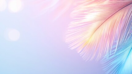 Poster - A beautiful feather displays soft pastel colors including pink, blue, and yellow, blending harmoniously with a gentle background, creating a calming visual effect