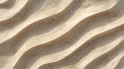 Poster - Sunlight illuminating smooth, wavy sand texture, creating a mesmerizing natural pattern on a pristine beach, ideal for backgrounds and travel-related projects