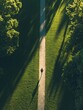 © Anat art - A solitary runner makes their way along a winding path surrounded by lush greenery in a tranquil park at dawn. Generative AI