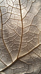 Poster - Veins intricately weave across the surface of an exotic leaf, showcasing a harmonious blend of texture and light. Nature's artistry captured in exquisite detail