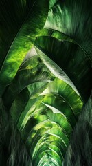 Poster - Under the bright sunlight, the interior boasts towering banana leaves, creating a vibrant green canopy. This natural architecture invites visitors to marvel at its organic beauty